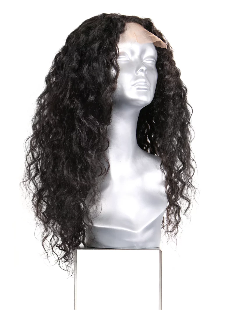 Perruque curly à closure, 100% cheveux vierges indiens non traités, donneur jeune, Remy, brillance naturelle, sans nœuds, cuticule complète d'origine